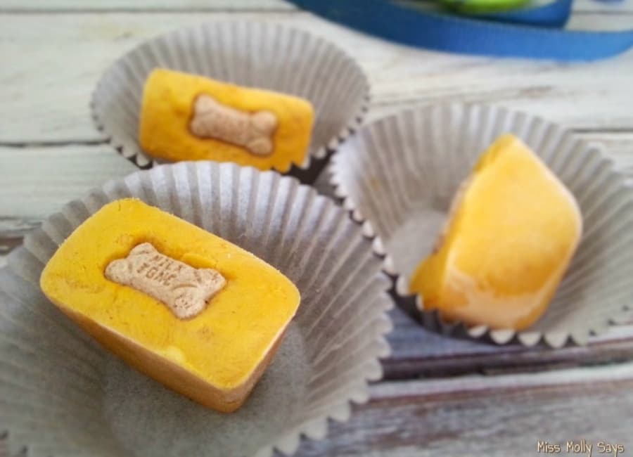 Top 10 Homemade Pumpkin Dog Treat Recipes